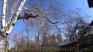 Видео Удаление трехствольной березы в Красногорском районе. 13 марта 2015 года. (автор: Igor Sorokin)