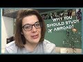 3 Reasons Why You Should Study Abroad