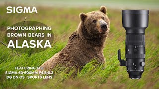 Photographing Brown Bears in Alaska with the SIGMA 60-600mm DG DN OS | Sports Lens