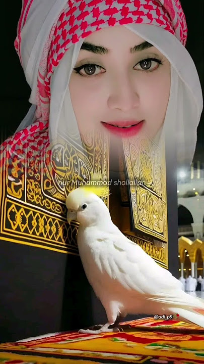 Hasbi robbi jalallah mafi qalbi ghairullah nur muhmmad shollallah #islam #islamic #status #story #yt