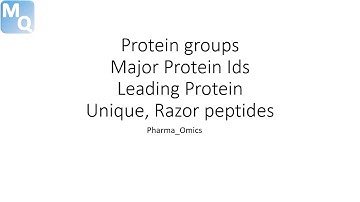 #1)Maxquant Protein Groups, unique razor peptide leadig protein