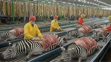 FULL PROCESS | Inside the Zebra-Leather Factory – Exotic Stripe Material Production