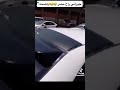 جيزاني في مصر