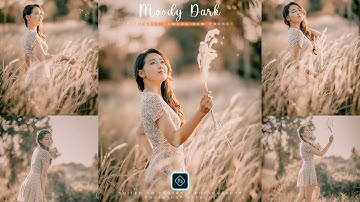 Moody Dark Tone | Camera Raw Preset | Color Grading Photoshop Tutorial