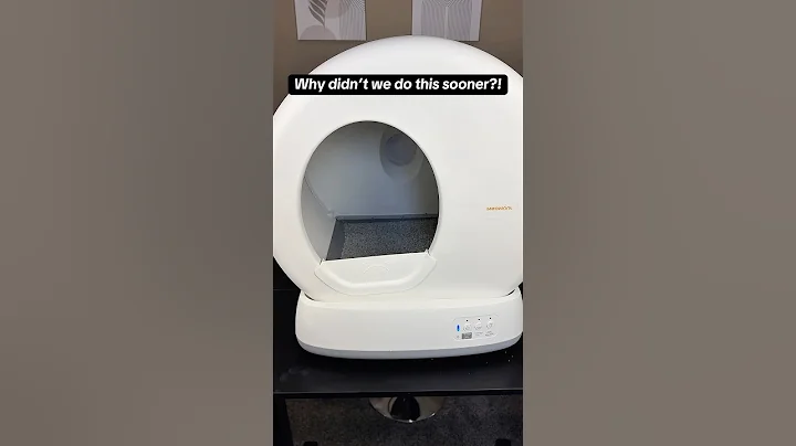 Tired of scooping cat litter? #youtubeshorts