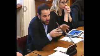 Intervento Dellon. Rampi Allaudizione In Commissione Cultura Di Travaglio