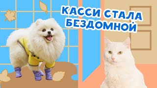 СОФА РАЗЛУЧИЛА КАССИ И ДЖОНИ Ч.2