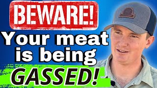 Farmer Exposes Hidden Meat Scandals with Grocery Store Beef!