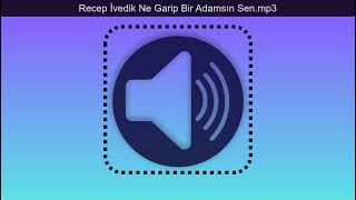 Recep İvedik Ne Garip Bir Adamsın Sen Resimi