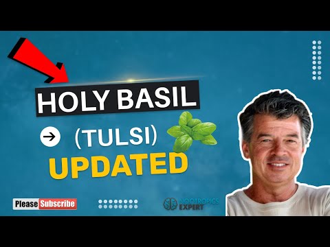 Holy Basil (Tulsi)