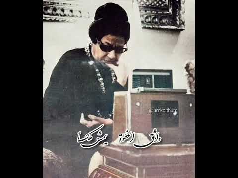 اين من عيني حبيب ساحر ام كلثوم 