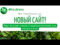 Переехали в Москву и запустили новый сайт. Съедобные цветы, освещение и другие новинки!