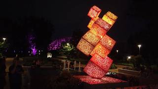 Patterns in Nature : LightForm at Missouri Botanical Garden