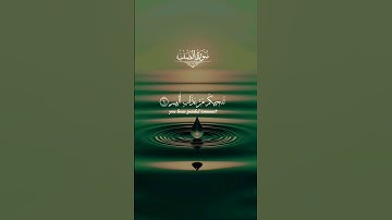 تلاوات خاشعة تريح القلب #قرآن #قران_كريم #قران #تلاوة_خاشعة #تلاوات #راحة_نفسية #مكة #الحرم_المكي