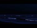 【白噪音】海浪聲＋輕柔鋼琴音樂 🌊 深度助眠放鬆｜舒緩焦慮 提升專注力與學習效率｜ASMR 睡眠音樂・自然海浪白噪音・長時間放鬆背景音樂