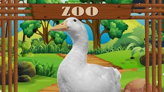 I took my duck to the Zoo screenshot 3