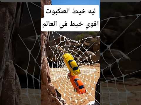 ليه خيط العنكبوت اقوي خيط في العالم معلومات اكسبلور    معلومات غريبة