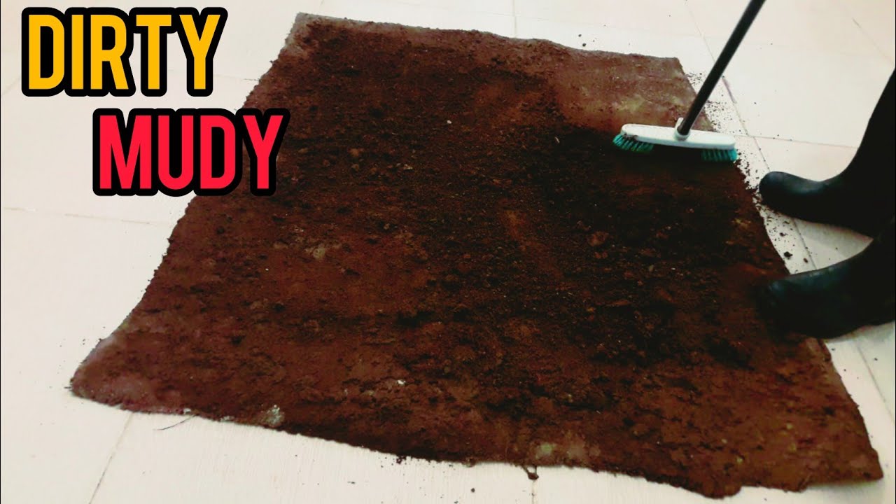I've never seen so much dirt and mud on the carpet carpet cleaning