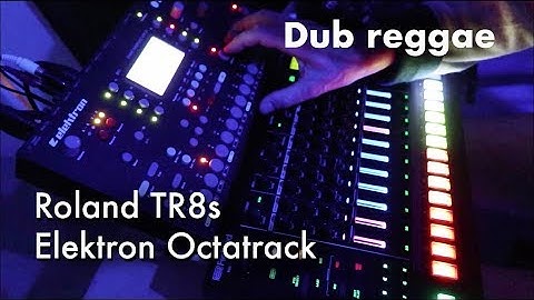 Dub reggae on Roland TR8S, Elektron Octatrack: Fish of the Day