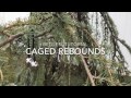 Begleri tutorial: caged rebounds