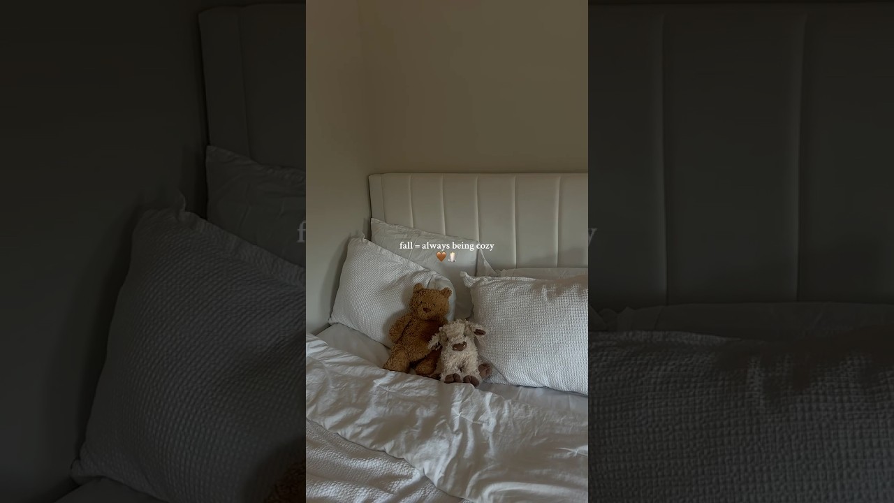 i love cozy szn 🤎🧸
