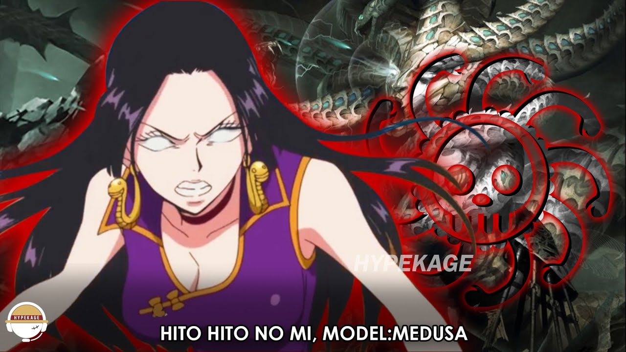 Hito Hito no Mi, One Piece Wiki