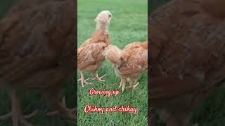 Posing is mga Alaga #viral #camera #Action #Enjoying