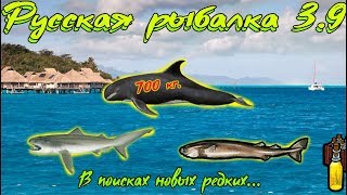 Русская рыбалка 3.9. Большеротая - Акула - Сигарная