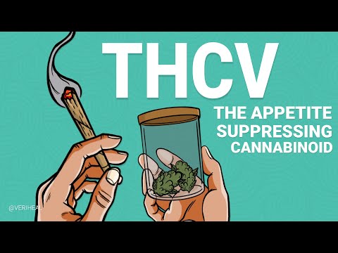 Discover THCV - The Appetite Suppressing Cannabinoid