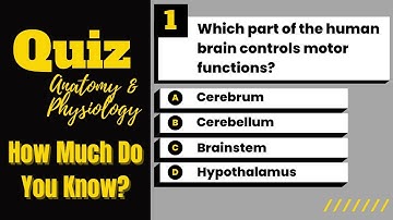 Can You Pass This Human Body Quiz? | Anatomy And Physiology Quiz | 30 Questions
