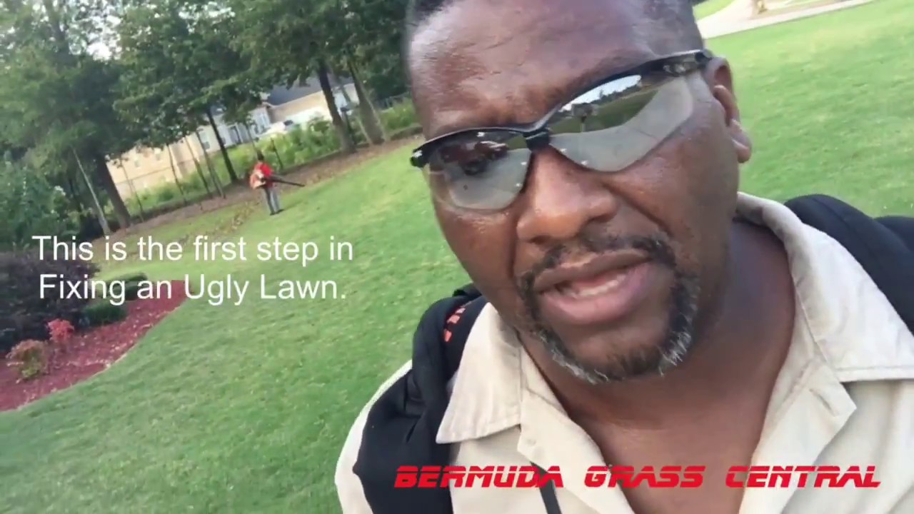 How to fix an ugly lawn - YouTube