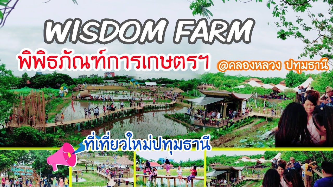 สถาน ที่ เที่ยว จังหวัด ปทุมธานี  Update 2022  ที่เที่ยวใหม่ปทุมธานี Wisdom Farm เดินชิลกลางทุ่งนา แหล่งท่องเที่ยวเชิงเกษตร น่าไป มีคาเฟ่นั่งชิล