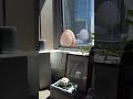 dayinmylife nyc Lifestyle interiordesign apartment flowers #Shorts #tobylny
