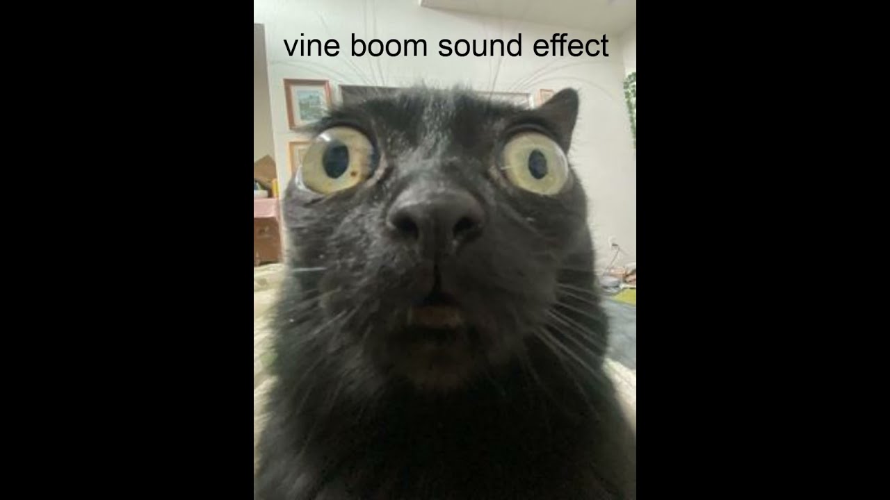 Vine Boom Sound Effect YouTube vine-boom-sound-effect-youtube