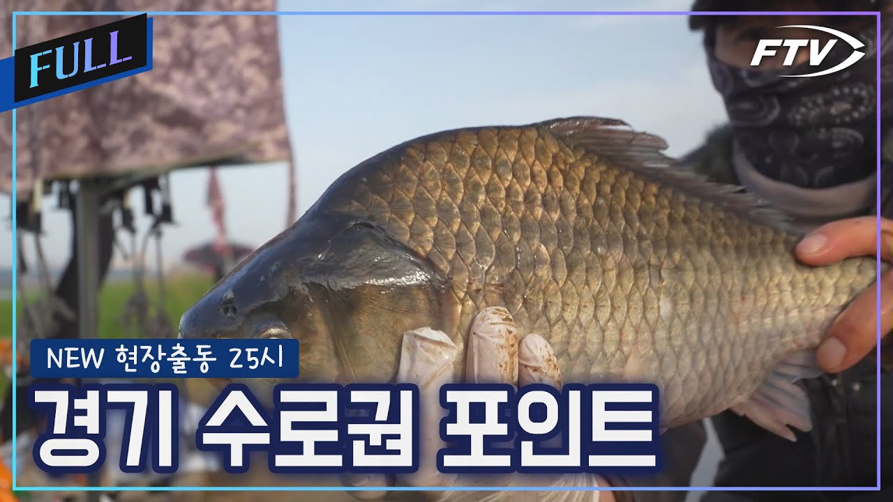 경기 수로권 조황출동 [NEW현장출동 25시/14회]