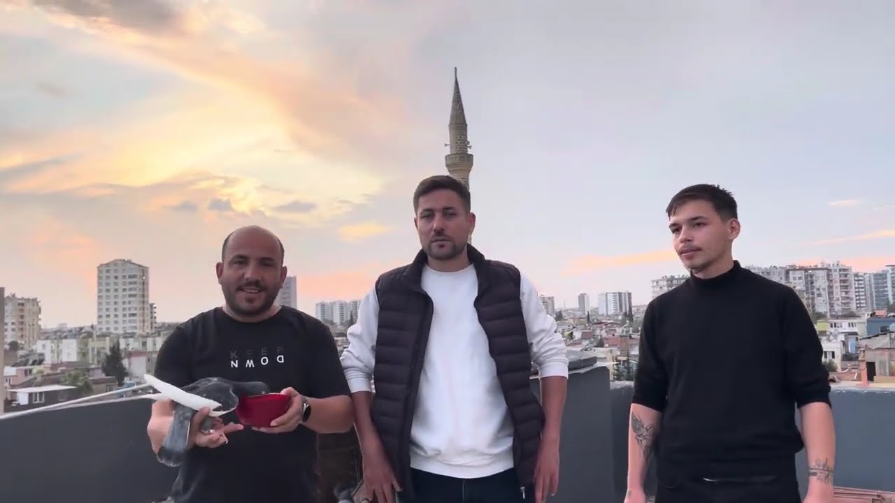 ADANA GÜVERCİNLERİ TÜYDEN SONRA HAMLIK ALMA ILK UÇURUMLARI 