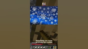 Exploring the Record-Breaking Size of the World