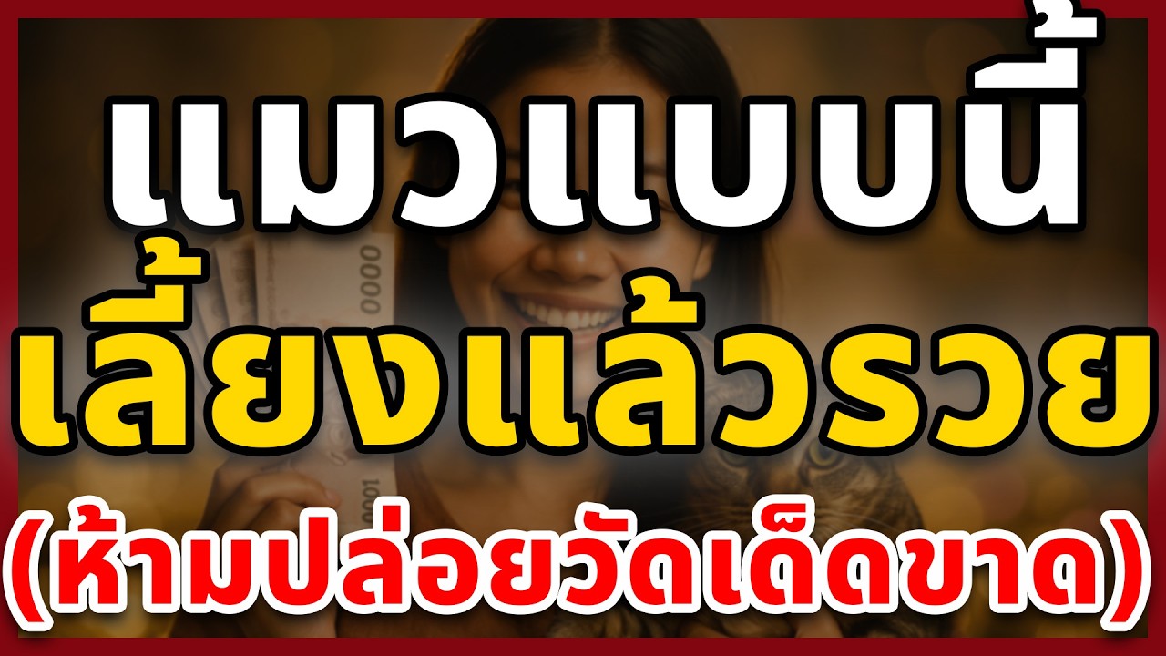 เปิดตำราแมวเศรษฐี! 5 ลักษณะ 