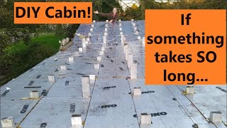 Is this the end?! - DIY Cabin sort off grid - eps.51