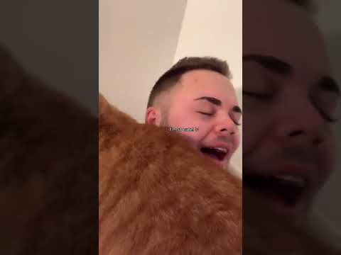 Cat Mocks His