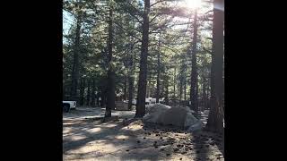 Pine Cliff Resort June Lake 2026