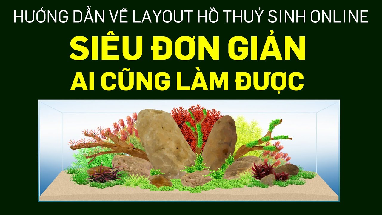 Hồ thủy sinh đã từng khiến bạn say mê với vẻ đẹp của từng chi tiết và sinh vật trong đó. Hãy tham khảo hình ảnh để cùng khám phá những bí mật động vật dưới nước nổi bật trên bề mặt hồ thủy sinh.