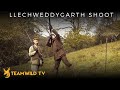 High pheasant shooting at llechweddygarth in wales with ian harford