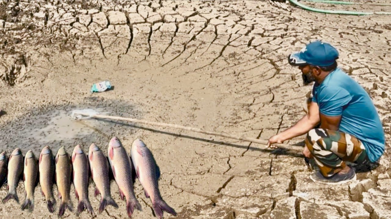 Fishing Video | manching Fishing | Fishing For Rohu | Fish Catching Video | Bottle fishing video