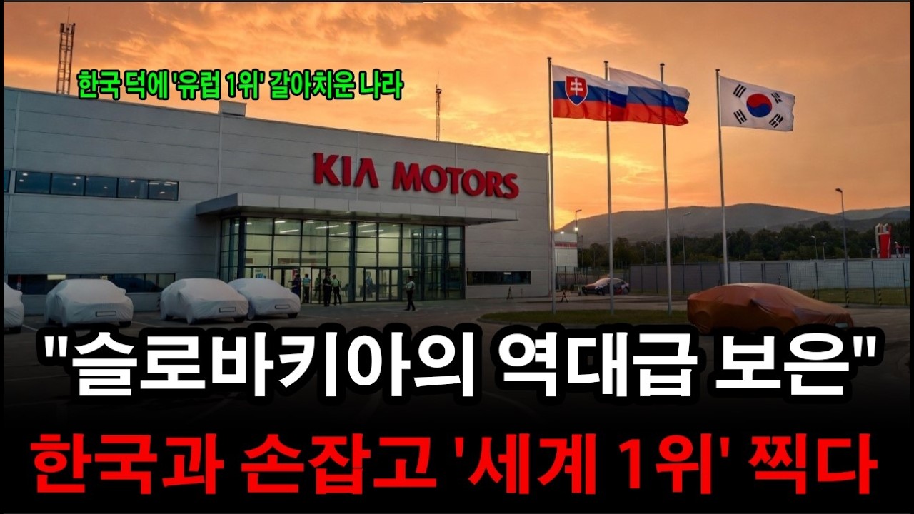 일본이 자살행위라던 그 땅… 한국 1조 박자 '세계 1위' 터져버린 진짜 이유