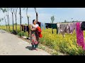         pind punjab de new vlog hardworking lifestyle