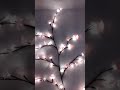 #cute its sooo nice beutiful and nature and i got it from tiktok #funnycute 💖🎀 #aww