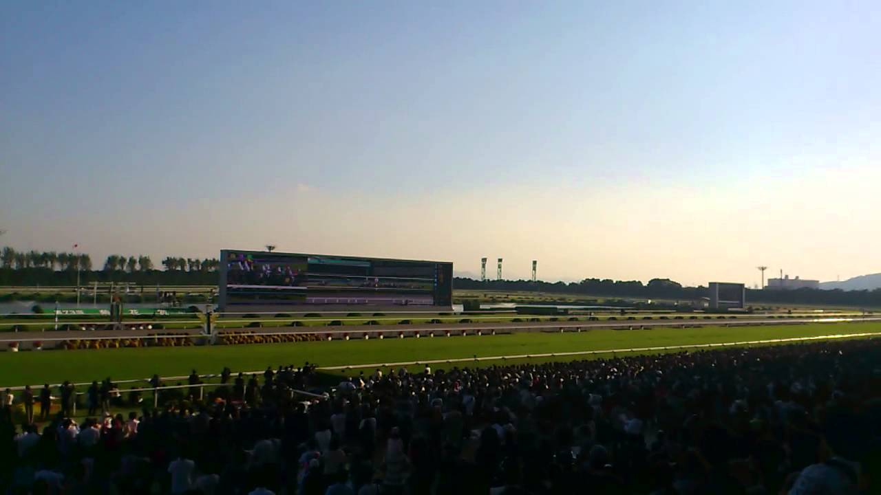 2012年第73回菊花賞(GI)レース観戦