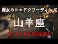山羊座5月〜6月【シャドウ】⚠️ちょい辛注意⚠️まだ起こってもない事を心配しないで‼️魔女のシャドウリーディング🌗