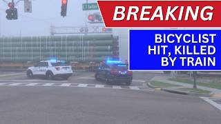 Bicyclist hit, killed by freight train